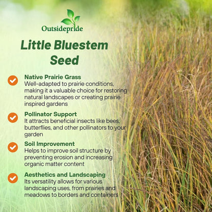 Outsidepride Perennial Little Bluestem Grass Seed - 10 lbs. Warm Season, Drought Resistant, Long-Lived Native Prairie Grass Seed, Ideal for Erosion Control, Ornamental Landscaping & Wildlife Gardens