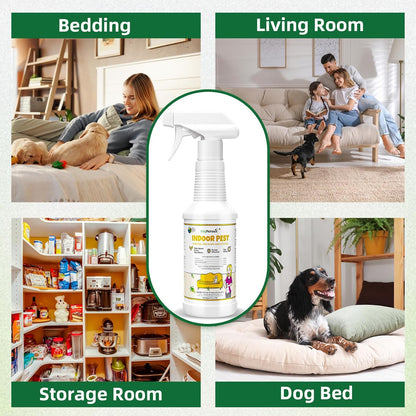 Bed Bug Spray 16 Oz, Carpet Beetle Killer, Indoor & Outdoor Bug Control for Bug Egg, Mite, Ant, Spider and Flea, Plant Extract Based Non Toxic Bed Bug Killer, Child & Pet Safe