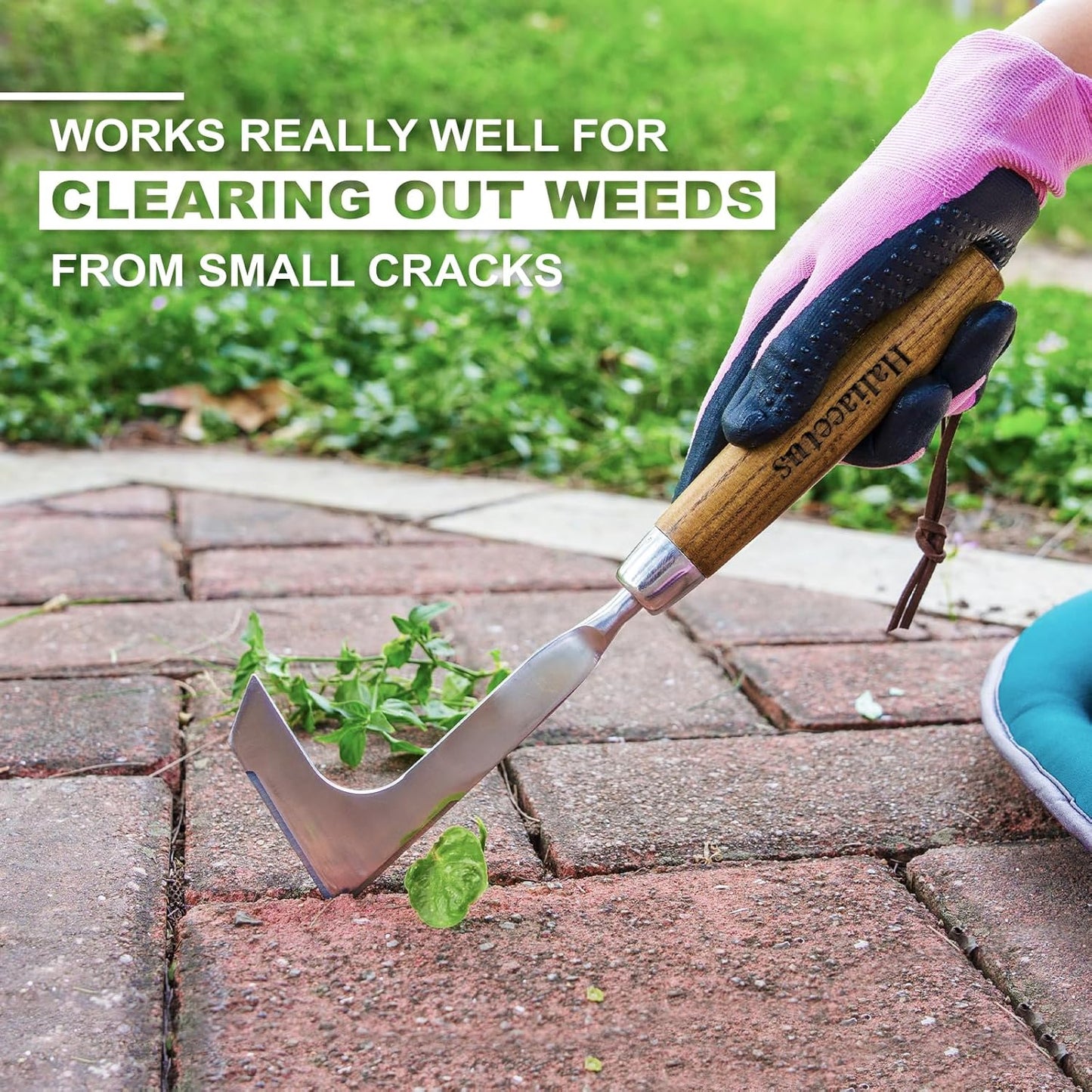 Haliaeetus Crack Weeder, L-Shape Stainless Steel Crevice Weeding Tool, Comfortable Grip Wood Handle Paver Weeder, 11'' Sidewalk Weed Removal Tool for Garden Lawn, Bricked Patio and Terrace Paving Moss