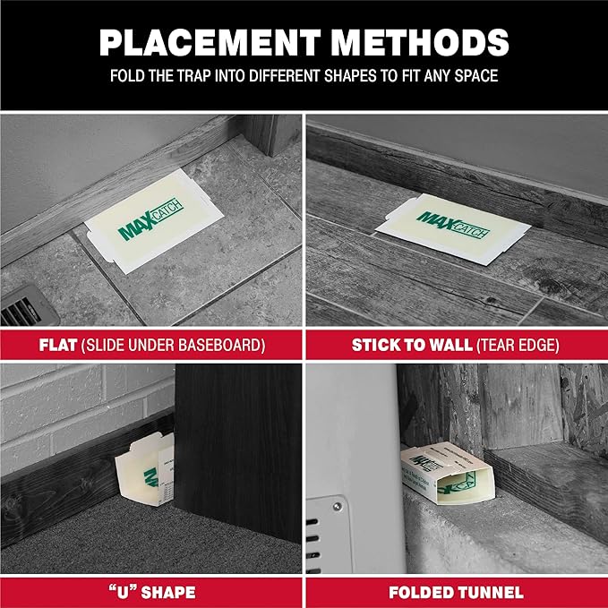 Catchmaster Max-Catch Mouse & Insect Glue Trap 72pk, Mouse Traps Indoor for Home, Sticky Pest Control Adhesive Tray for Catching Bugs, Bulk Classic Glue Boards