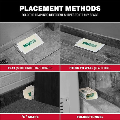 Catchmaster Max-Catch Mouse & Insect Glue Trap 72pk, Mouse Traps Indoor for Home, Sticky Pest Control Adhesive Tray for Catching Bugs, Bulk Classic Glue Boards