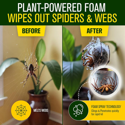 Green Guard Pest Control Spray - Indoor & Outdoor Killer of Ants, Roaches, Spiders & Other Crawling Insects, Safe Around Children & Pets, Plant-Based, Pleasant Scent (Peppermint Hit, 16oz)