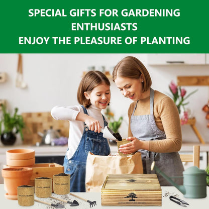Bonsai Tree Starter Kit for Beginners - Indoor Live Plant Gardening Adult Craft Kits - Unique Christmas, Birthday, White Elephant Gifts for Women, Men & Kids