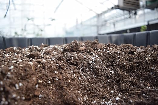 Natural Horticultural Perlite (2 Quart)