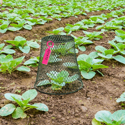 20 Pcs 11inch Chicken Wire Plant Covers,Wire Garden Cloches Chicken Wire Cloche Plant Protector Metal Heavy Duty Garden Plant Cloche for Keeping Bunnies Chicken Squirrels Birds Other Out