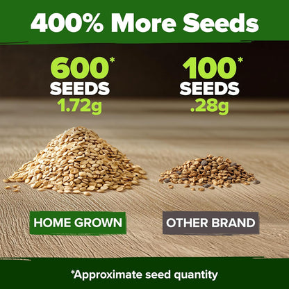 HOME GROWN Beefsteak Tomato Seed 2Pack - 600 Heirloom Tomato Seeds for Planting Outdoors – High-Yield Non-GMO Vegetable Seeds for Growing Large, Meaty Tomatoes for Summer Dishes (Solanum lycopersicum)