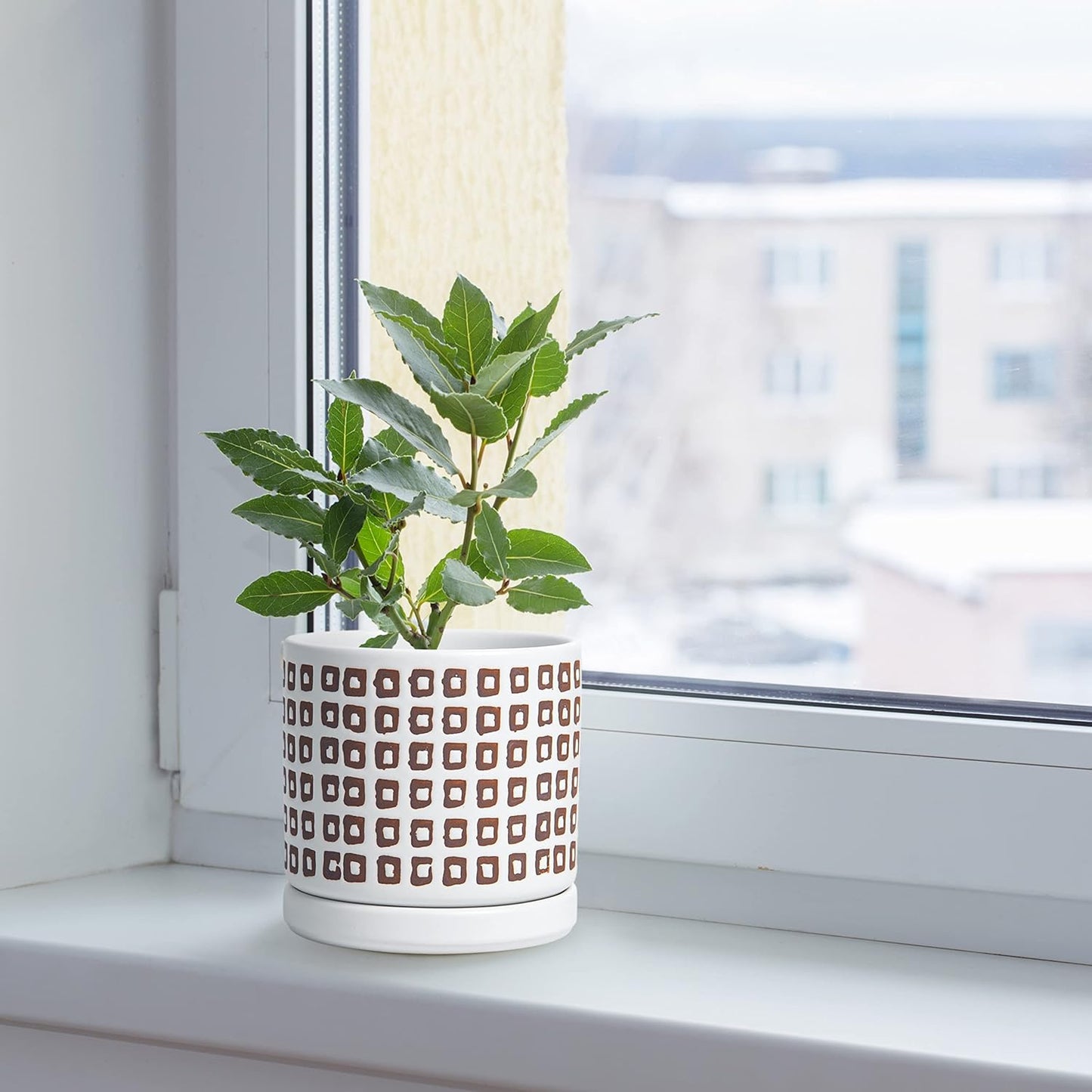 D'vine Dev Set of 2 Ceramic Planter Pots with Drainage Hole and Saucer, 4.5 Inch Plant Pots for Plants Indoor Houseplants, White, 99-Z-A-1-V