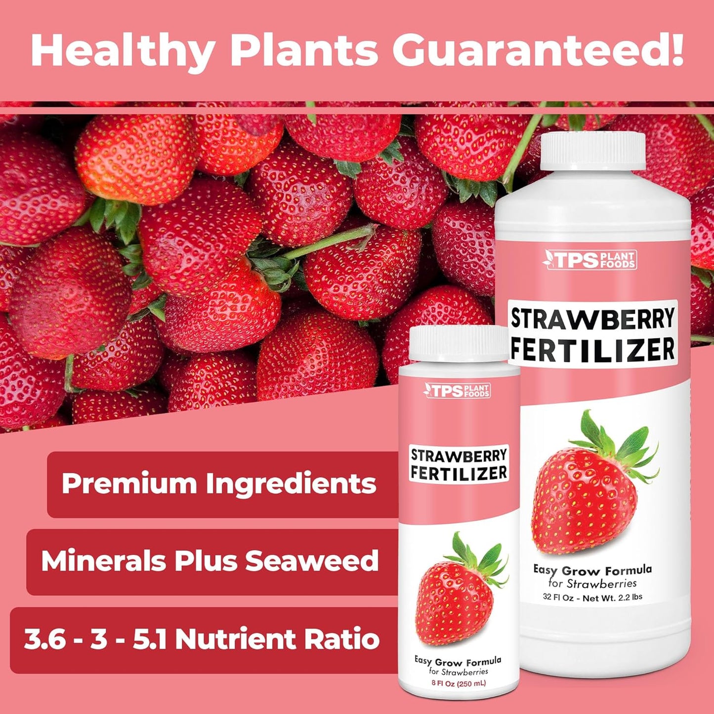 Strawberry Fertilizer for Fruit and Berry Gardens, Liquid Plant Food, 1 Gallon (128 oz)