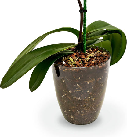 Organic Premium Orchid Soil Mix by Gardenera - Hand Mixed Classic Sphagnum Moss Potting Soil Mix - for Phalaenopsis Orchid - 20 Quart (4 Bags of 5 Quart)