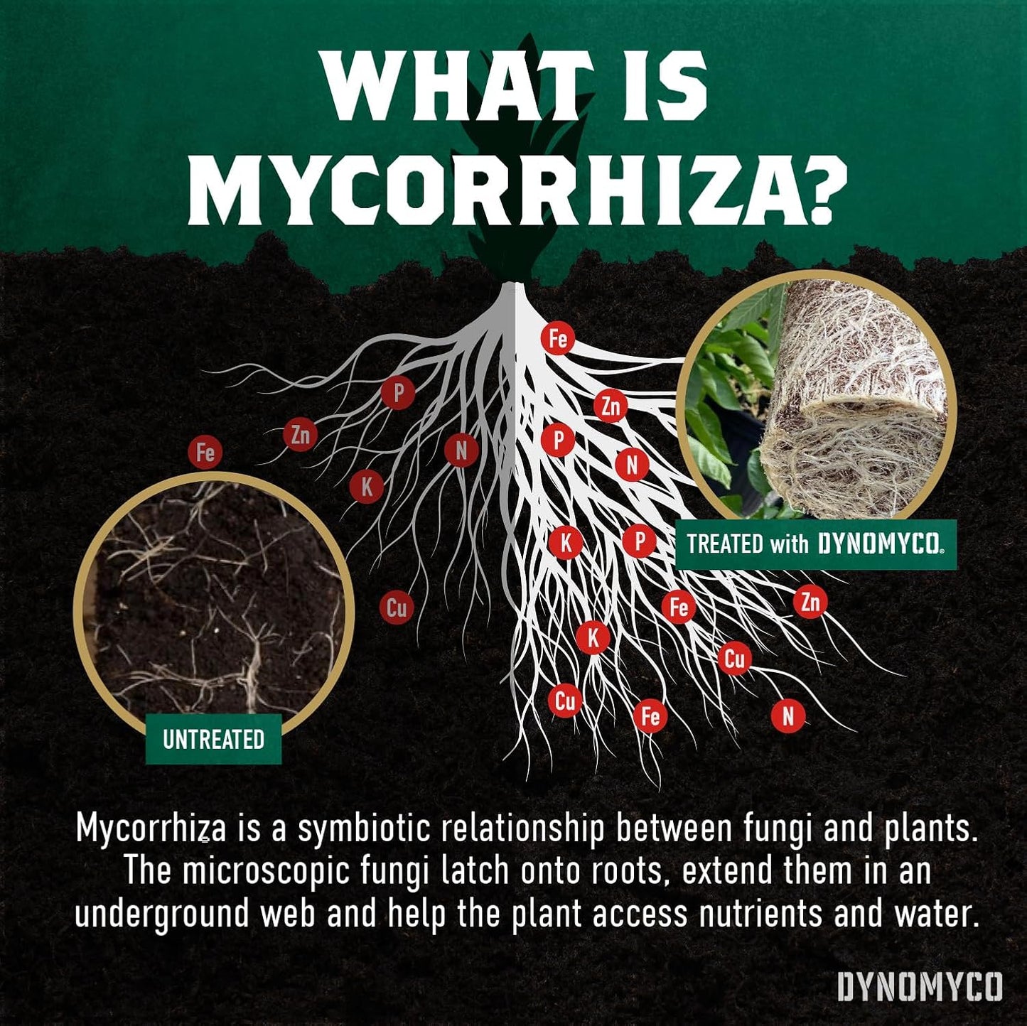 DYNOMYCO Mix 4-in-1 Mycorrhizal Grow Kit for Bigger Yields & Healthier Plants - Includes Concentrated Mycorrhizae, MHB & Bio-stimulants, Premium Coco Coir, and Biodegradable Grow Bags