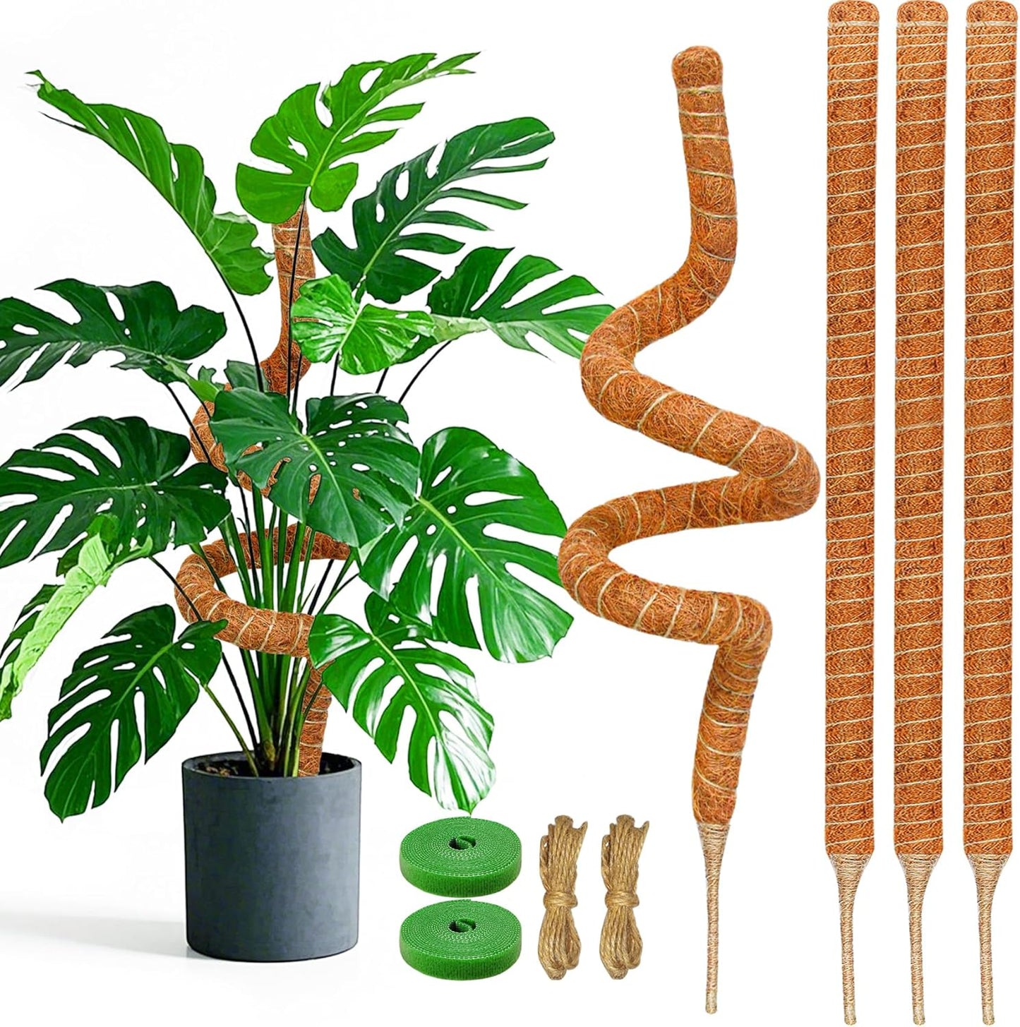 4 Pack 60 Inch Moss Pole Monstera Plant Support, Coir Moss Poles for Climbing Indoor Plants, Bendable Plant Stake Trellis for Potted Plant, Pothos, Philodendron