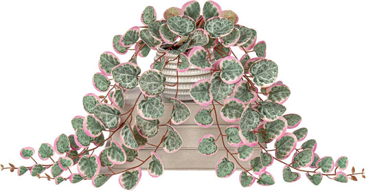 Briful Artificial Plants Indoor 17.7'' Faux String of Hearts Plants with Ceramic Pot Small Fake Pink Plants for Home Office Hotel Bathroom Table Shelf Decor