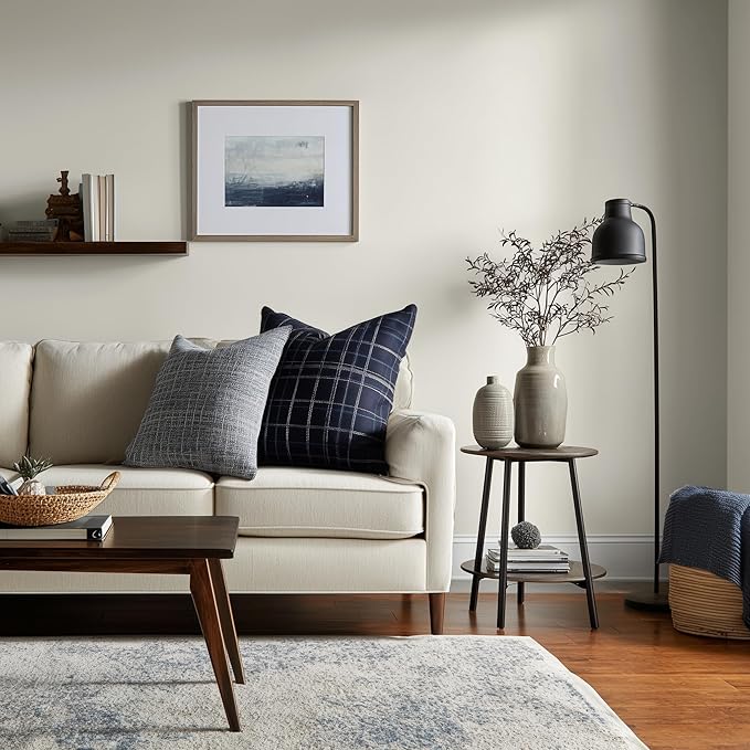 EVOLVE Paint & Primer: Environment-friendly, Low Sheen with One-coat Coverage for Interior & Exterior surfaces (Clover White, 1-Gallon)