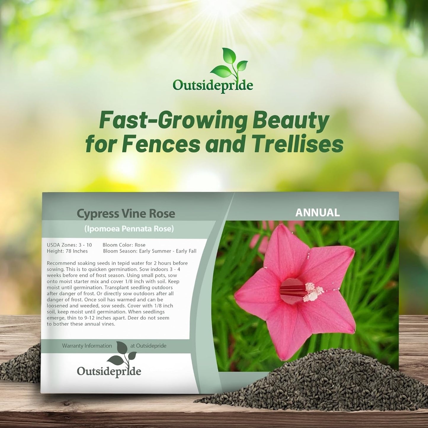 Outsidepride Rose Cypress Vine Seeds - 100 Pcs Annual Flower Seeds with Nectar-Rich, Star-Shaped Flowers & Feathery, Fern-Like Leaves for Fences, Trellises, Pergolas & Vertical Gardens
