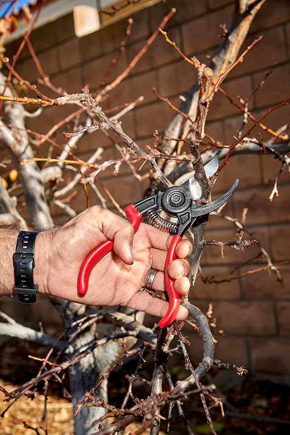 Corona BP 3640 Forged Steel ErgoACTION Angled Bypass Hand Pruner - 3/4 inch Cut Capacity Stem and Branch Garden Shears, Red