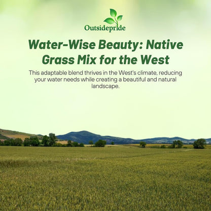 Outsidepride Western Native Grass Seed Mix - 1 lb. Perennial Blend of Warm & Cool Season, Drought Tolerant Grass Seed for Natural Landscaping w/Wildflower, Soil Health Improvement & Erosion Control