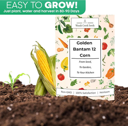 Woods Creek Seeds: Golden Bantam 12 Sweet Corn Seeds for Planting - Heirloom Sweet Corn Seed with Tender Yellow Kernels - Non-GMO, Open-Pollinated, Seed Pack for Field and Home Gardening