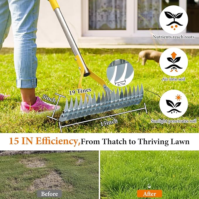 Thatch Rake for Lawns - 15in Dual-Action Dethatching Rake with 70'' Handle, Heavy Duty Manual Dethatcher & Scarifier Tool for Dead Grass,Moss,Weeds,Thatching Remover,Garden Yard Soil LooseningThatcher