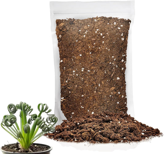 Gardenera Premium Albuca Spiralis Potting Soil Mix - Perfect Balance of Nutrients, Drainage, and Aeration for Thriving Blooms - 5 Quart