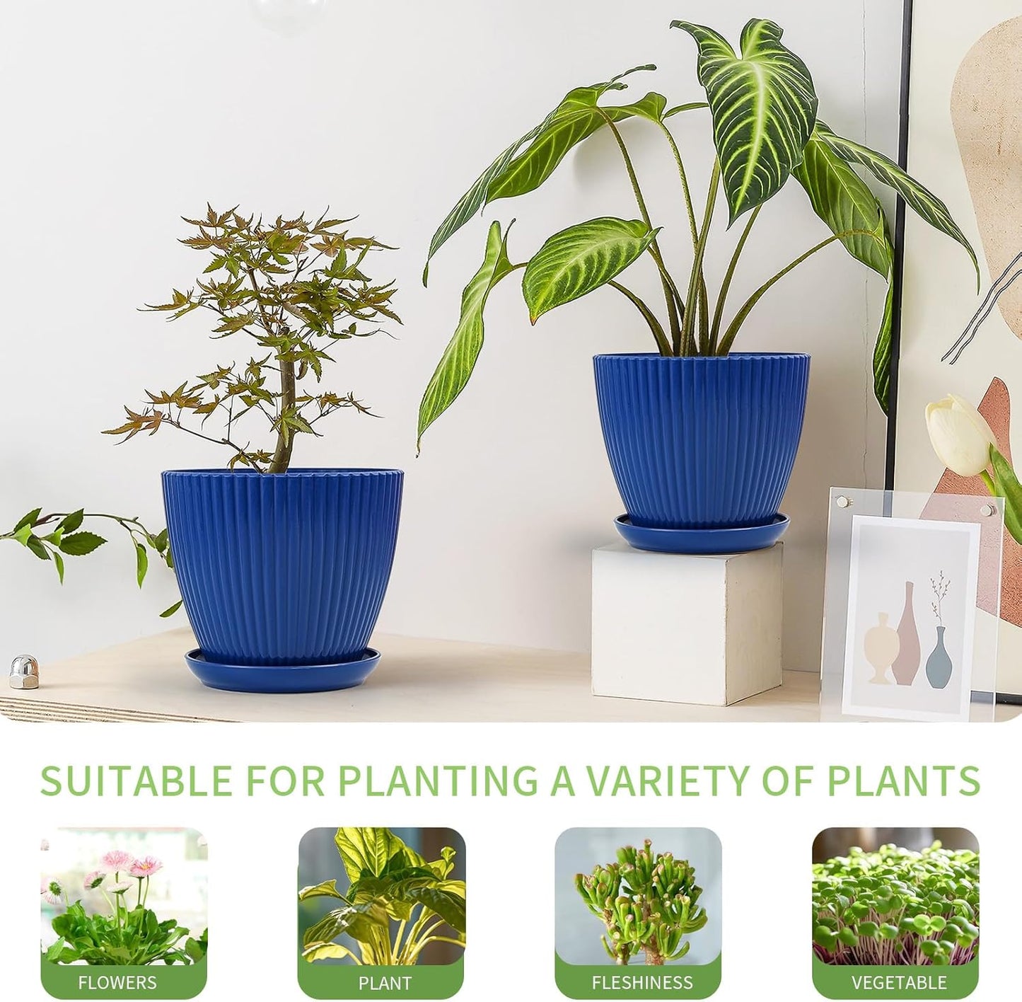 6pcs Plastic Flower Pots, 7.5/6.6/5.8/5.0/4.3/3.5 inches, Indoor/Outdoor Home Decoration, Thick and Durable, with Drainage Holes and Trays