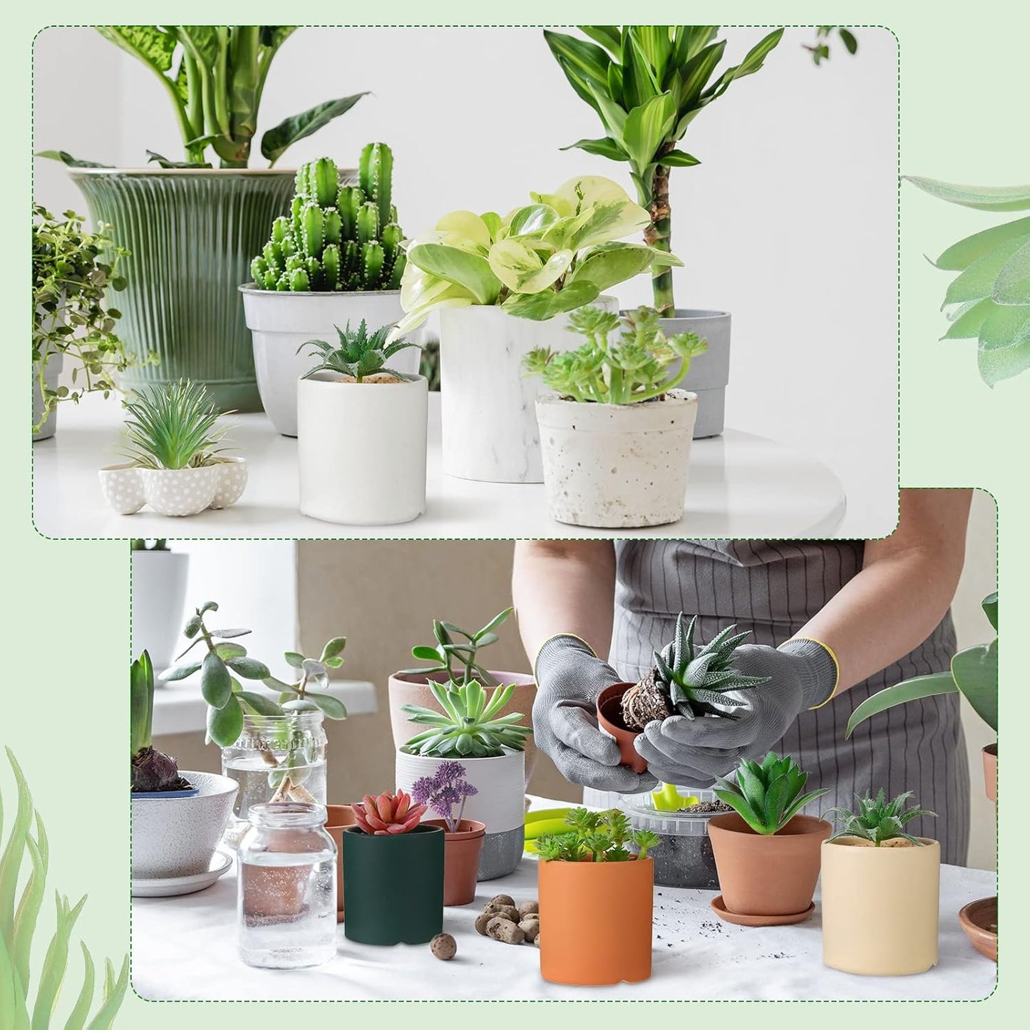 WILLBOND 50 Pcs Bulk Mini Artificial Succulents Plants Assorted Unpotted Realistic Plants Fake Textured Succulent Picks Realistic Plastic Cactus Stems for Succulent Garden Home Decor (Normal Style)