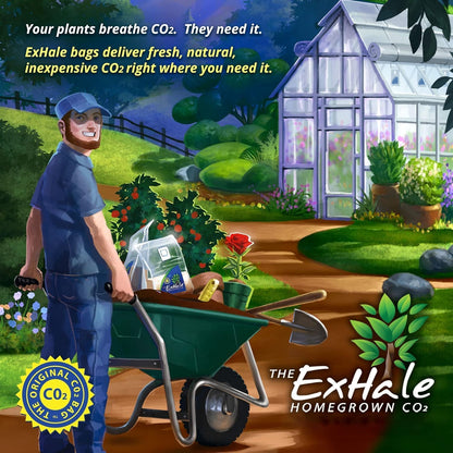 Exhale Homegrown CO2 MAX - Largest CO2 Bags for Indoor Grow Rooms & Grow Tents - Foliage Mushroom Bags (2 Pack)