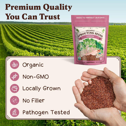 Seedboy Organic Non-GMO Radish Seeds for Sprouting - USA Grown Microgreens Sprouting Seeds - 8 oz Bag Makes 8 Quarts / 24 Servings (Daikon Radish)