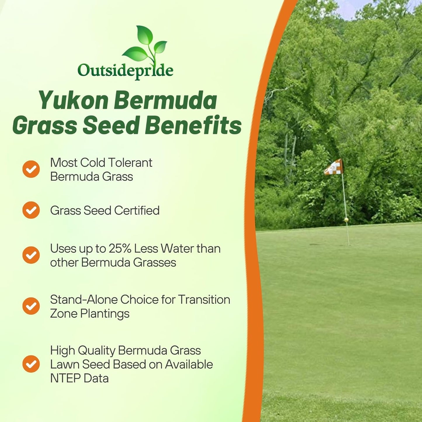 Outsidepride Yukon Bermuda Grass Seed - 1 lbs Cold & High Traffic Tolerant, Premium Hybrid Bermuda Turf Grass Seeds for Lawn, Ideal Low Maintenance Seed Grass for Colder & Challenging Area