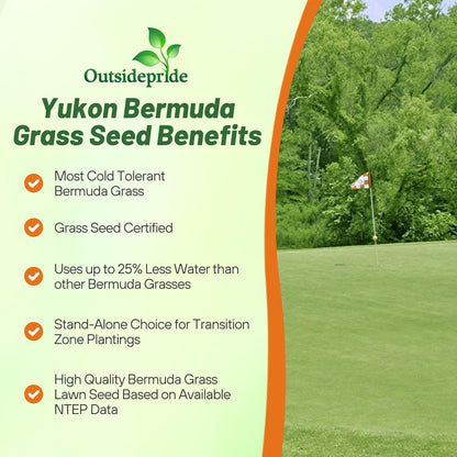 Outsidepride Yukon Bermuda Grass Seed - 1 lbs Cold & High Traffic Tolerant, Premium Hybrid Bermuda Turf Grass Seeds for Lawn, Ideal Low Maintenance Seed Grass for Colder & Challenging Area
