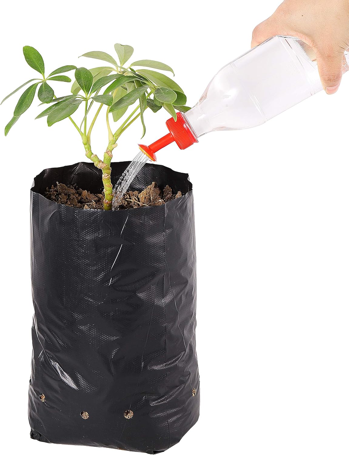 100 Pcs Nursery Growing Bags Seedling Starter Bags with 30 Plant Labels & 2 Mini Watering Sprinklers,Plant Grow Bags Plants Pots Plastic Pouches for Garden Trees,Flowers, Vegetable(8.8x5.3x4.7 Inch)