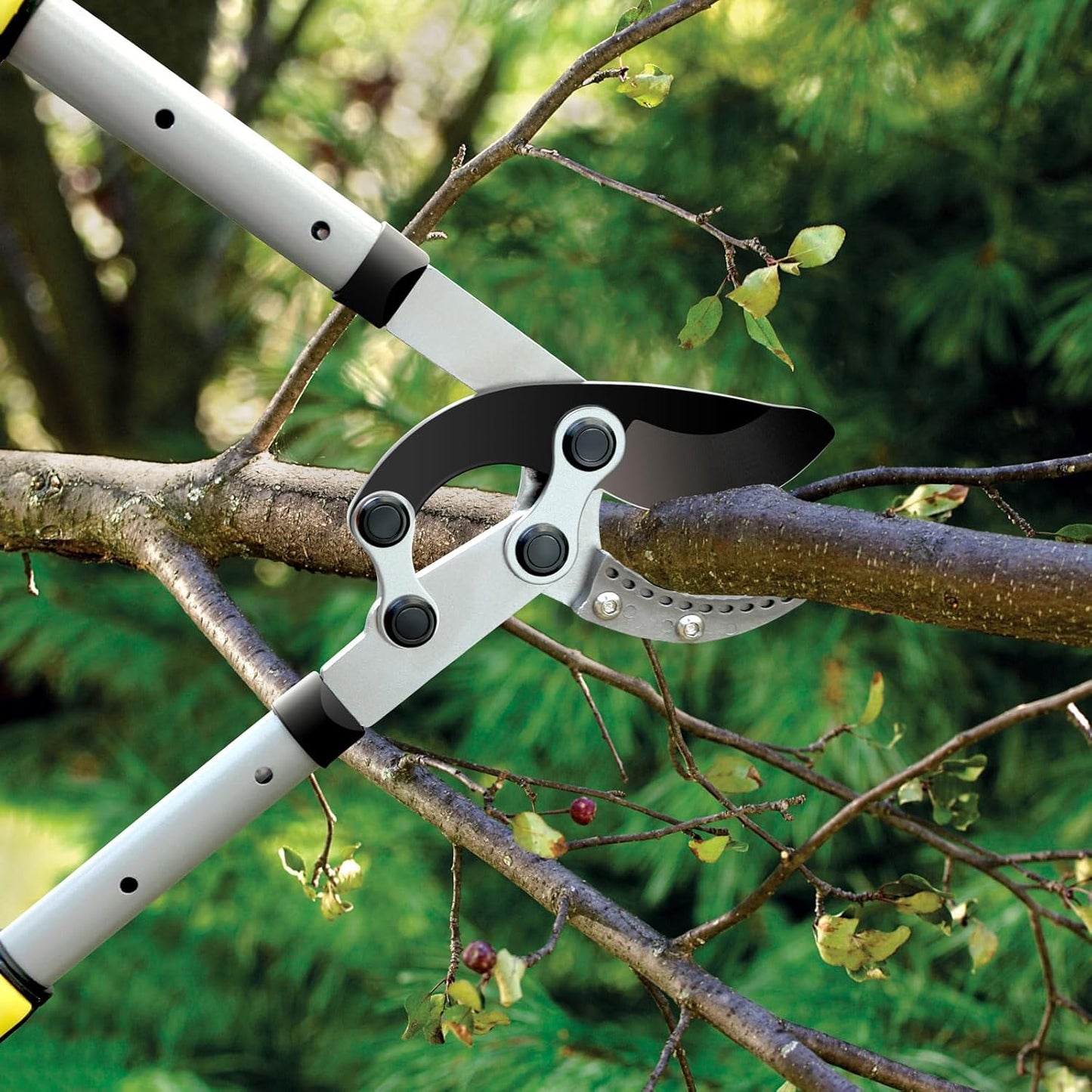 JARDINEER 3PCS Extendable Anvil Loppers for Tree Trimming Heavy Duty, 28-38.5" Branch Cutter with 2 Inch Cutting Capacity, Include Garden Tree Loppers, Pruning Shear and SK5 Spare Blade