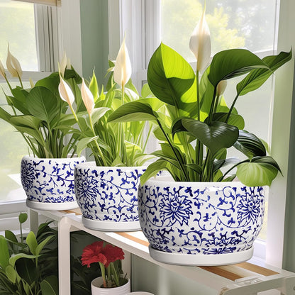 SQOWL 6 Inch Planter - Ceramic Plant Pots Indoor with Drainage Hole and Saucer, Round Ceramic Flower Pot Outdoor, Porcelain Decorative Planter, Backyard Decor, Gifts for Plant Lovers, Blue and White