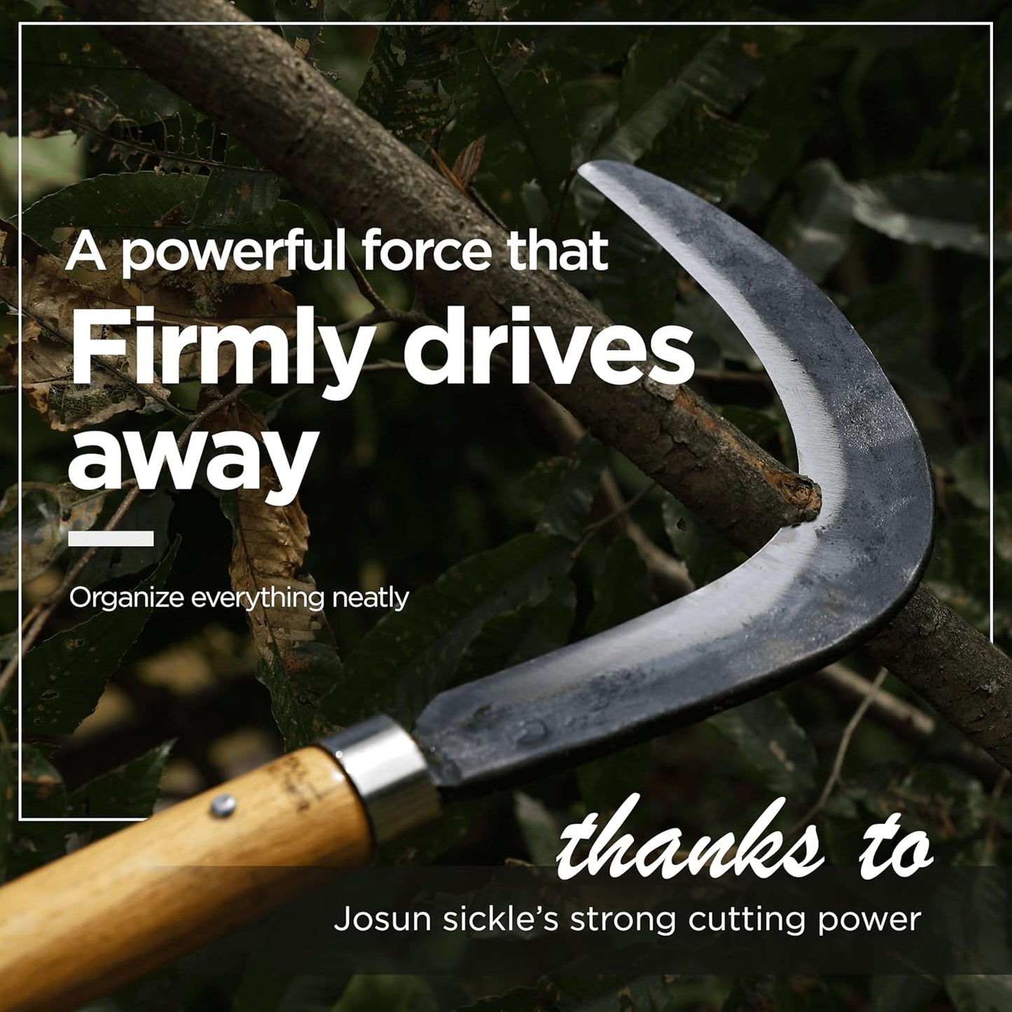 Big Size Josun Sickle - Hand-Forged Handmade Korean Weeding and Brush Clearing Tool with Razor-Sharp Blade and Chestnut Wood Handle