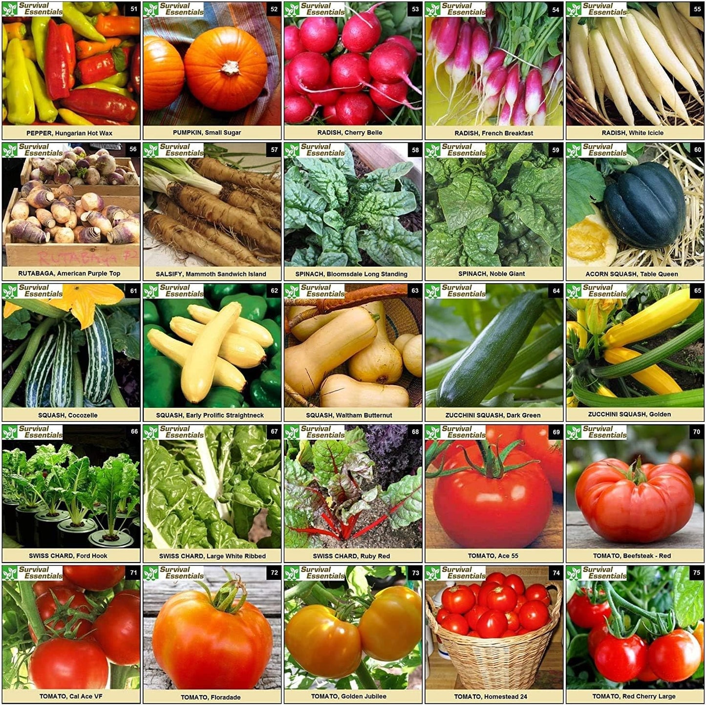 Garden Heirloom Seed Vault, 100 Variety, Over 17,500 Vegetable, Fruit, and Herbs Seeds, Non-GMO, Non-Hybrid, Plus Free Microgreens Kit