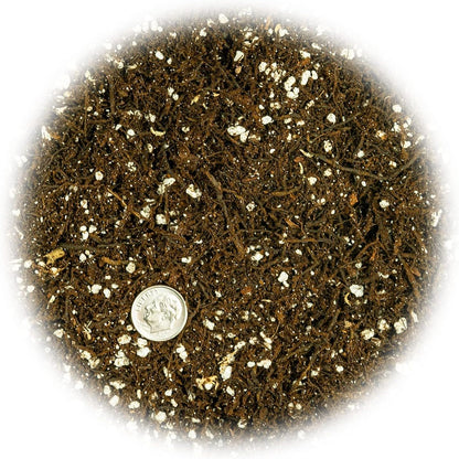 Gardenera Fern + Perlite Soil Mix for Repotting and Planting Succulents and Cactuses - 4 Quart Bag