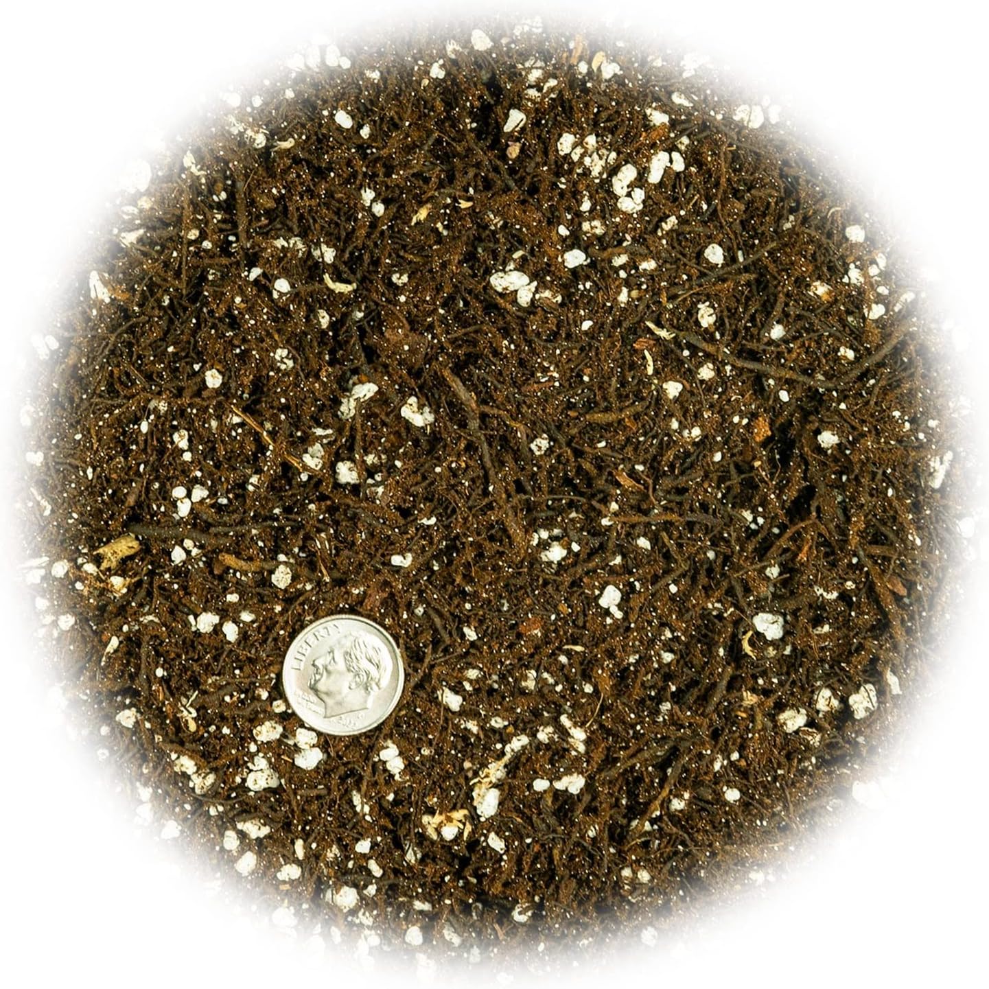 Gardenera Fern + Perlite Soil Mix for Repotting and Planting Succulents and Cactuses - 1 Quart Bag