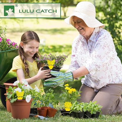 LULUCATCH Fruit Fly Sticky Trap 48 Pack, Safe Gnat Traps for Fruits, Plants, Super Sticky Fly Trap for Indoor, Outdoor, Kitchen, Insect Catcher for White Flies, Mosquitos, Fungus Gnats, Flying Insects