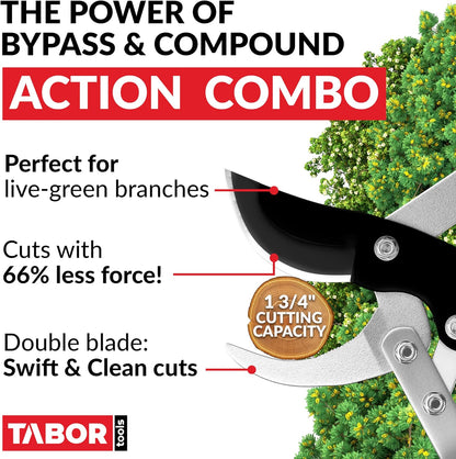 TABOR TOOLS GG11A Bypass Lopper with Compound Action, 30 Inch Tree Trimmer, Branch Cutter with ⌀ 1 3/4 Inch Cutting Capacity, Delivers Clean Cuts with Ease.