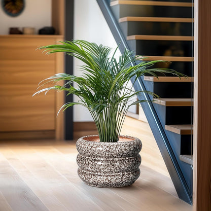 SQOWL Ceramic Pots for Plants - 10 Inch Plant Pot with Drainage Hole, Ceramic Planter for Indoor Plants, Round Flower Pots Outdoor, Modern Planter, House Home Room Decor, Gifts for Plant Lover, White