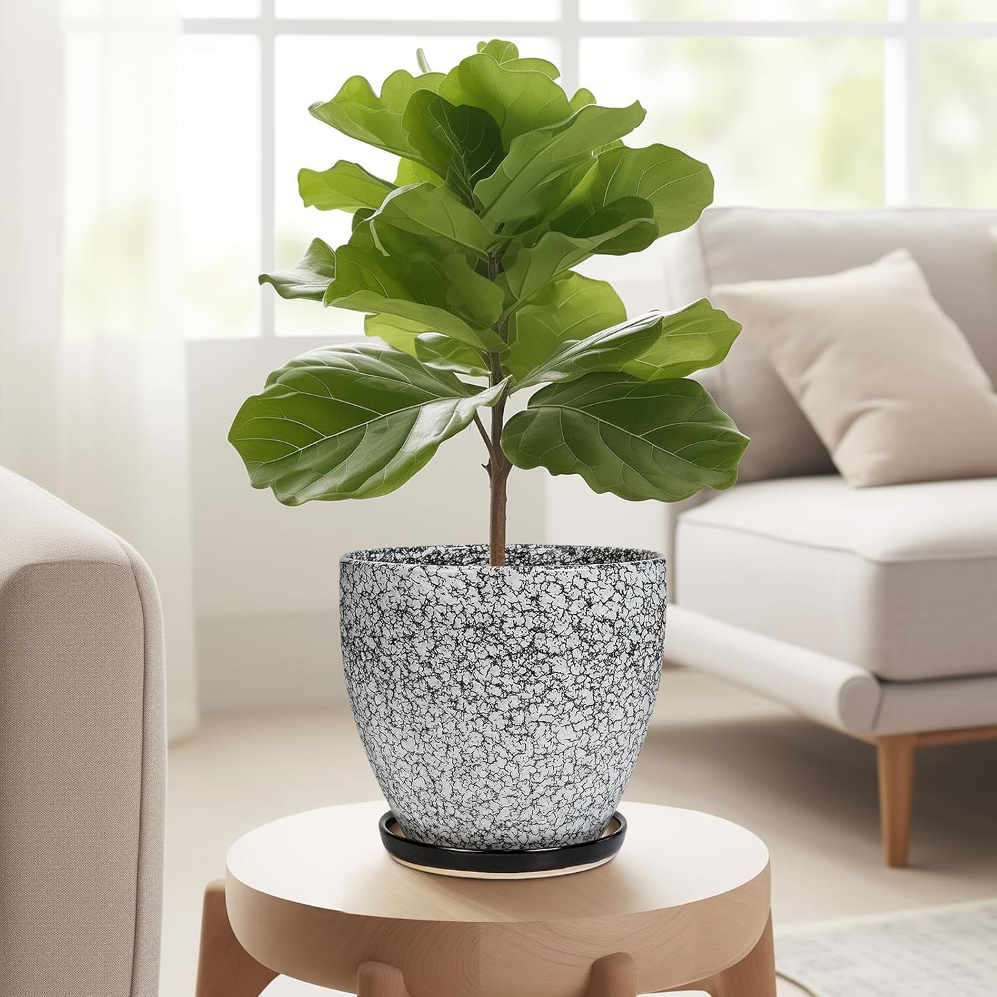 Ceramic Planter - 6 Inch Plant Pot for Indoor Ourdoor Plants, Round Succulent Planter, Decorative Flower Pots with Drainage Hole and Saucer, Home Desk Decor, Housewarming Gifts, White-Black