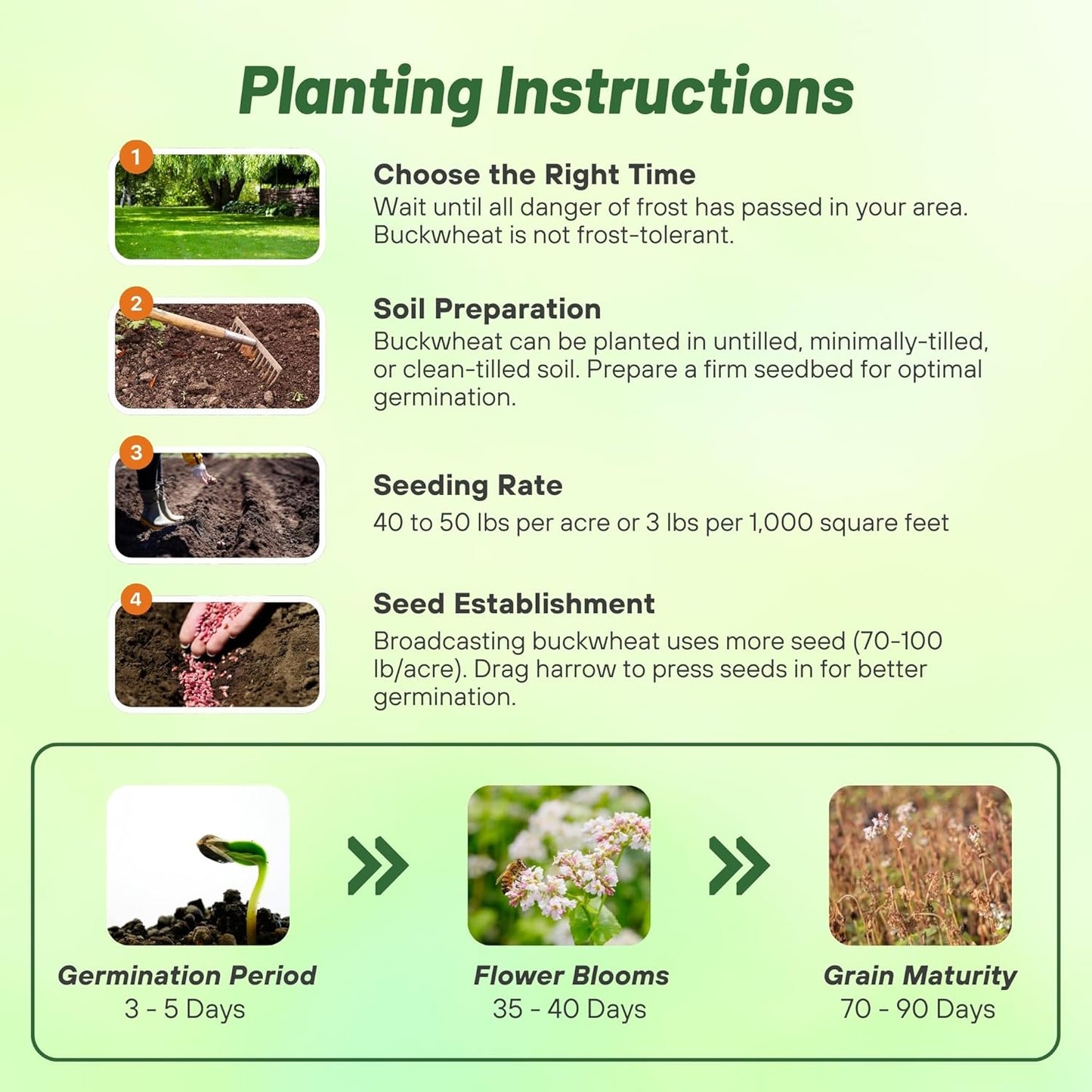 Outsidepride Buckwheat Seeds - 5lbs Annual, Fast-Growing, Easy to Grow Buckwheat Cover Crop Seeds for Green Manure, Bee Pasture & Pollinators, Wildlife Habitat, Soil Improvement, and Erosion Control