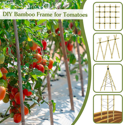 Plant Stakes 4.8FT, Natural Bamboo Stakes, HAINANSTRY 20Pcs Sturdy Bamboo Garden Stakes, Bamboo Sticks for Plants, Beans, Indoor and Outdoor Climbing Plants, Tomato Vegetable Stakes for Garden