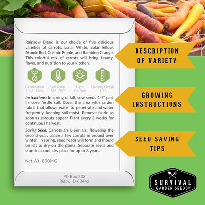 Fall & Winter Vegetable Seed Collection – 8 Packs of Non-GMO Heirloom Seeds for Planting Vegetables | Autumn & Indoor Gardening Seed Pack – Survival Garden Seeds