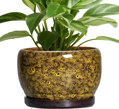 SQOWL Ceramic Flower Pots - 8 inch Ceramic Planter for Indoor Plants, Decorative Plant Pots with Drainage Hole and Saucer, Round Planter Outdoor, Porch Backyard Decor, Housewarming Gifts, Yellow