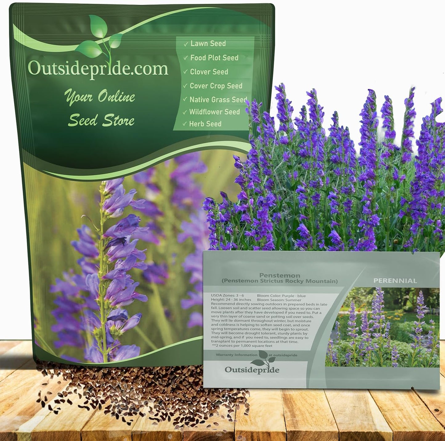 Outsidepride Penstemon Seeds - 1/4 Lb. Perennial, Drought-Tolerant & Pollinator Friendly, Strictus Rocky Mountain Wildflower Seeds for Planting with Vibrant Blue-Violet Blooms, Ideal for Xeriscaping
