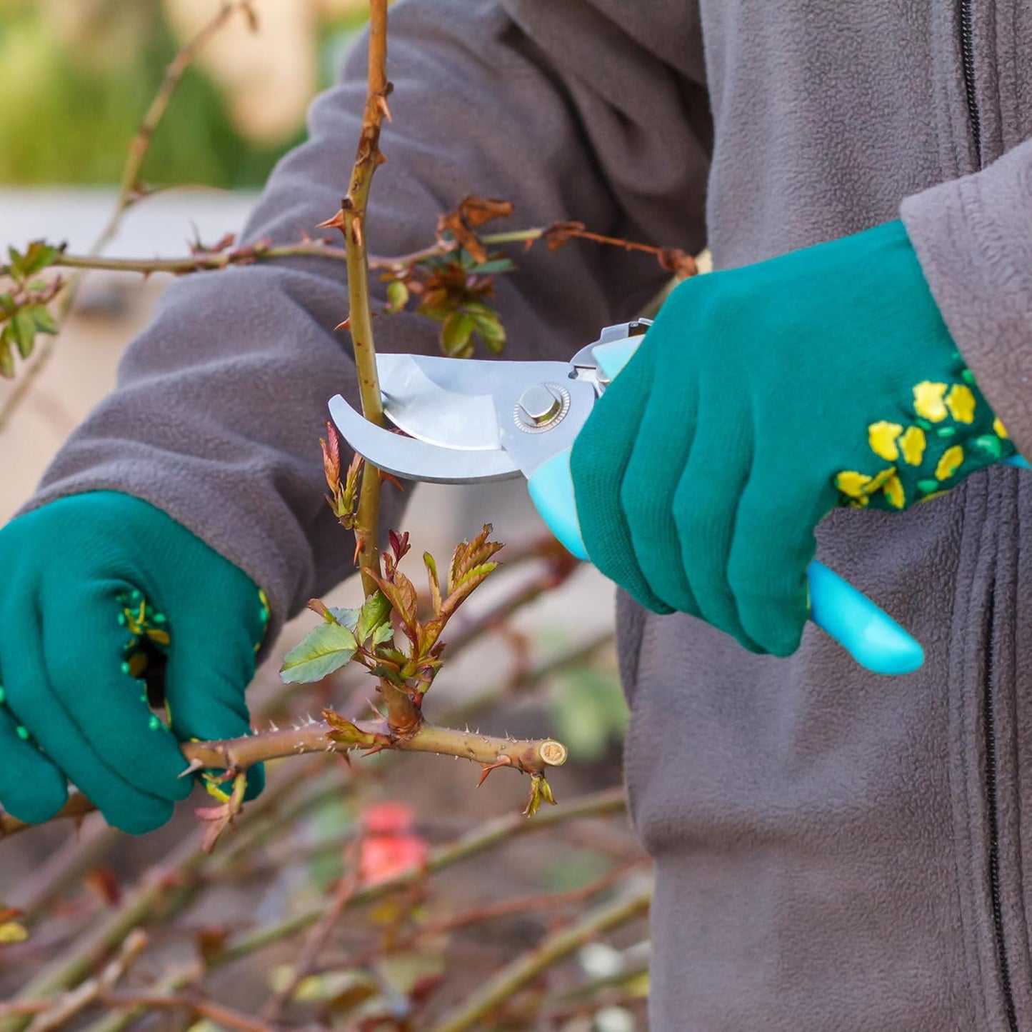 Chumia 30 Garden Flower Shears Pruning Scissors Heavy Duty Plant Scissors Trimming Garden Clippers Hand Tree Pruner for Yard Gardening Plants Hedge Flower Tree Cutting Secateurs (Blue)