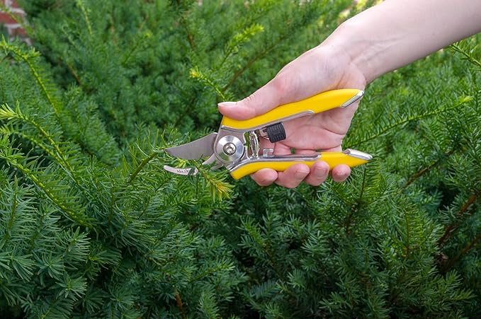 Dramm ColorPoint Stainless Steel Compact Garden Pruning Shears, Hand Pruner, Garden Clippers, with Heavy Duty Blade and Easy grip Handle, Green