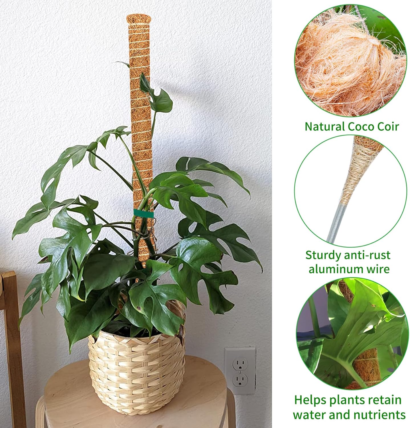 2 Pack Moss Pole, 63-Inch Moss Poles for Plants Monstera,Bendable Plant Support Stakes for Climbing Plants Indoor, Garden Trellis Plant Stick for Potted Plants, Pothos Philodendron