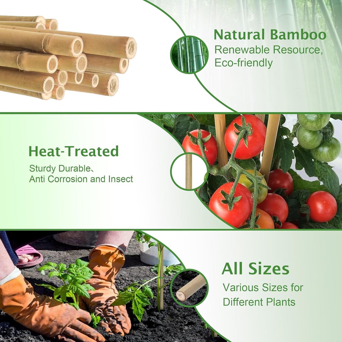 Garden Stakes 7FT, Natural Bamboo Stakes 7 Feet, 3/4" D Thicker Heavy Duty Plants Stakes 15 Pack for Tomatoes, Beans, Flowers, Potted and More Climbing Plants