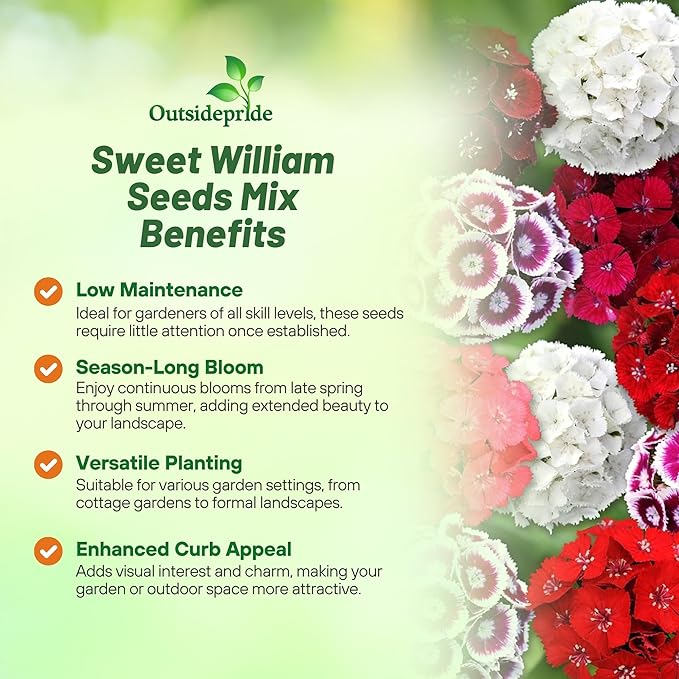Outsidepride Sweet William Dianthus Seeds - 5 Lbs. Perennial, Winter Hardy Wildflower Seeds w/Fragrant & Vibrant Blooms, Ideal for Pollinator Gardens, Cut Flowers & Colorful Landscaping